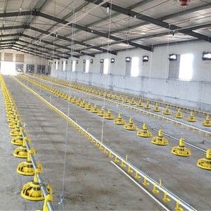 Poultry Farm Equipment Automatic Pan Feeding System Chicken Feeder